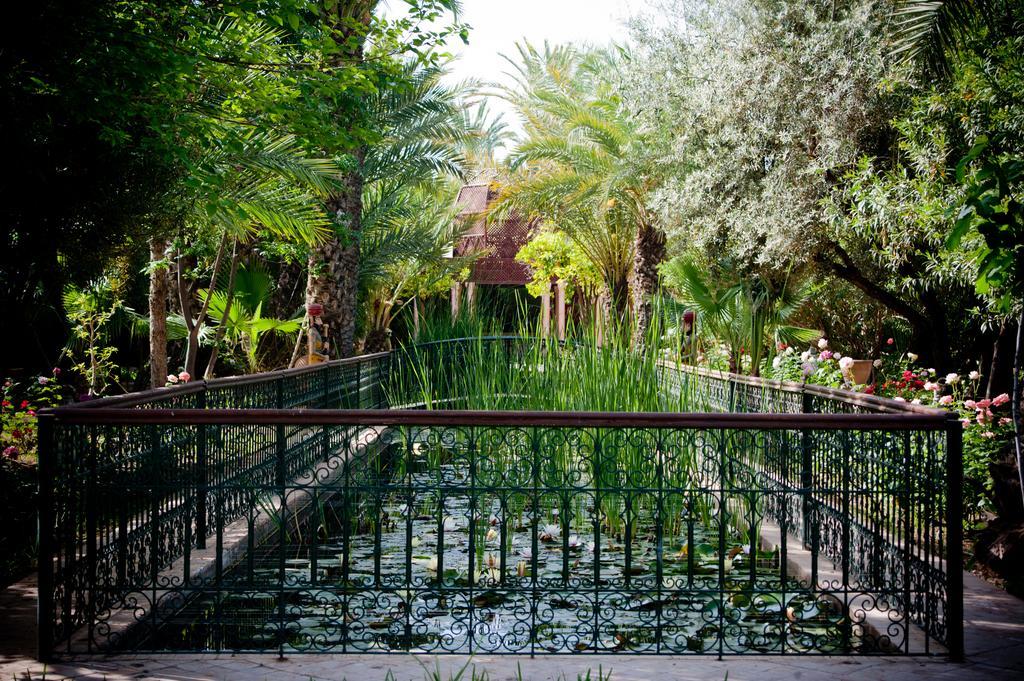 Dar Ayniwen Garden Hotel & Bird Zoo Marrakesh Exterior photo
